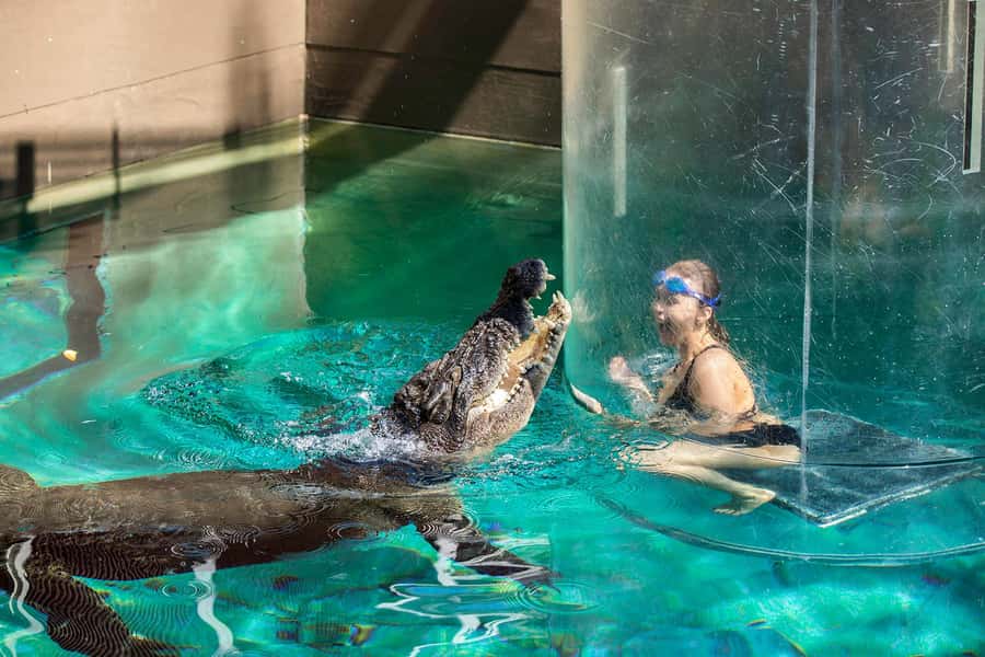 Crocosaurus Cove General Admission Ticket - Is the $28 ticket good value?