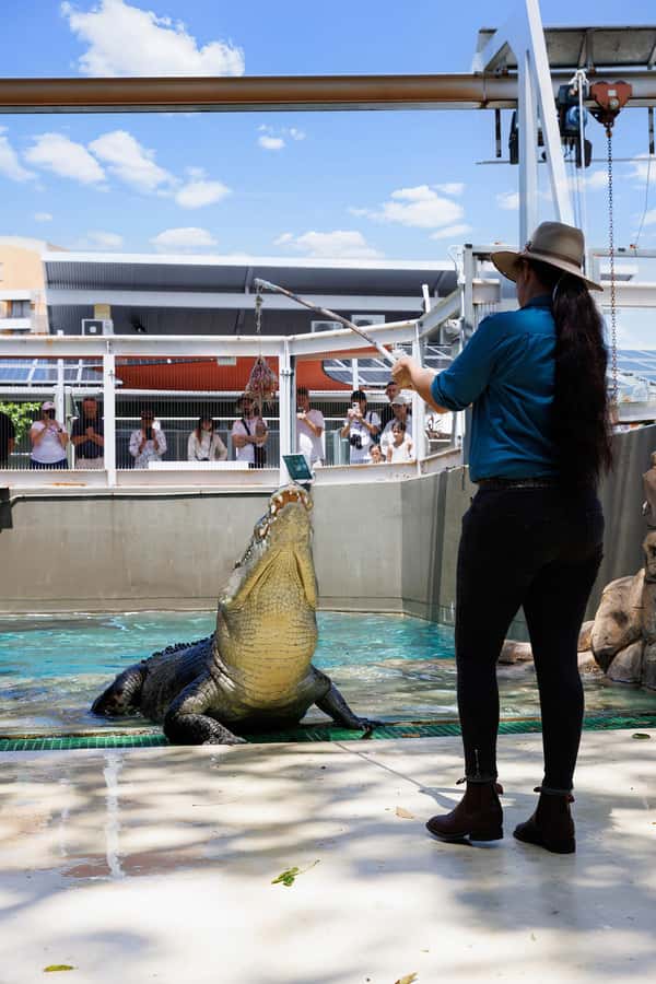 Crocosaurus Cove General Admission Ticket - The best way to plan the daily schedule