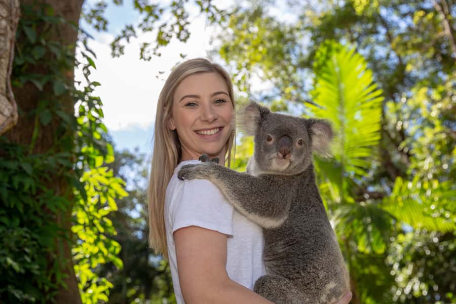Currumbin Wildlife Sanctuary Entry Ticket - Why Currumbin deserves a full day