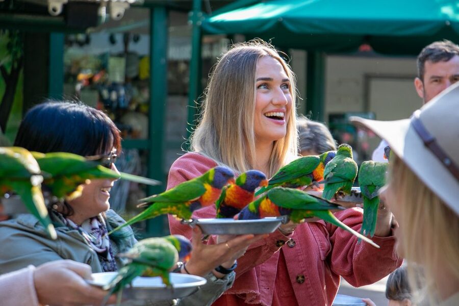 Currumbin Wildlife Sanctuary Entry Ticket - Plan around heat, food, and rest