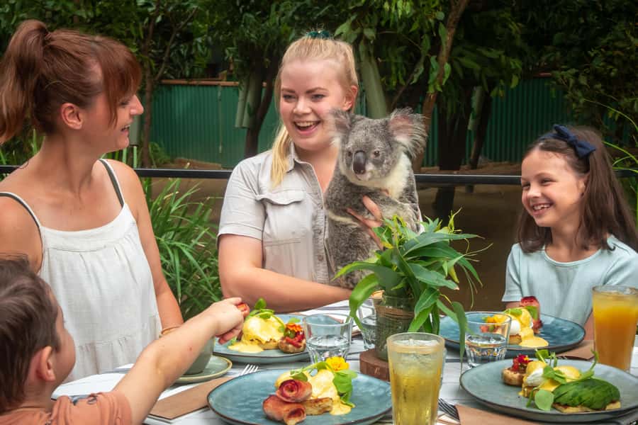 Currumbin Wildlife Sanctuary Entry Ticket - Watch birds fly at Wild Skies