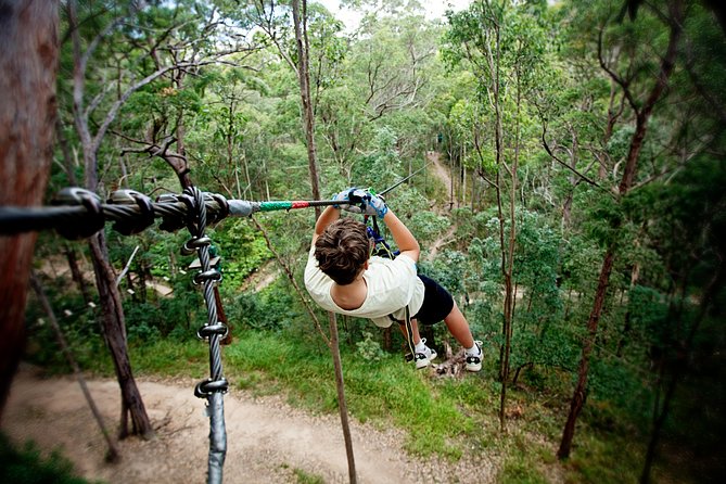 Currumbin Wildlife Sanctuary General Entry Ticket - Shows worth arranging your day around