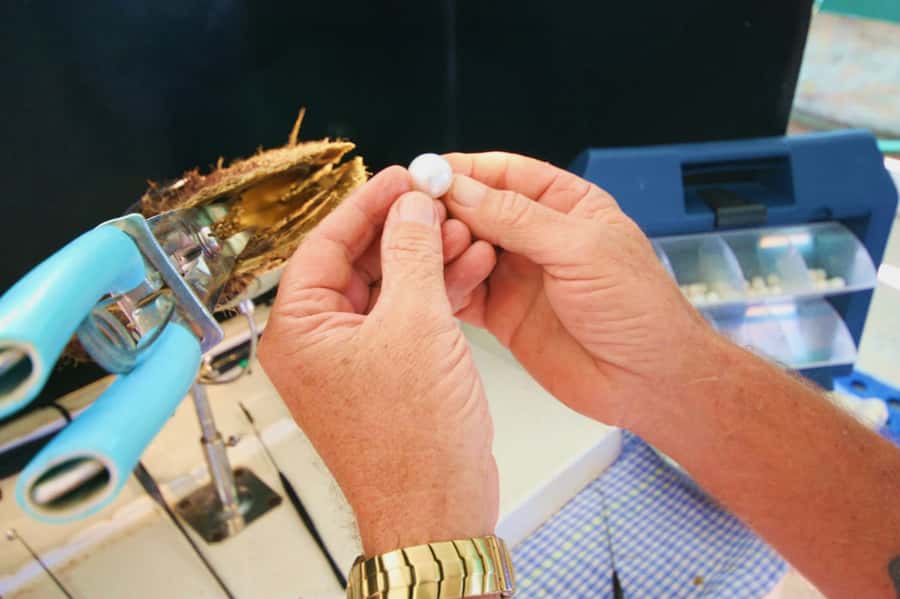 Cygnet Bay Pearl Farm Behind-the-Scenes Tour & Live Harvest - A short history of Cygnet Bay Pearl Farm