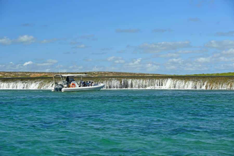 Cygnet Bay Unique Tidal Waterfall Reefs Scenic Cruise - Key points to know before you book