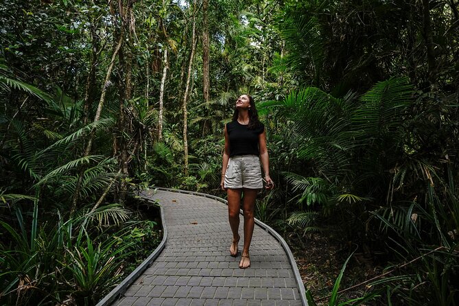 Daintree, Cape Tribulation & River Cruise from Port Douglas - Lunch at Heritage Lodge and a chance to swim