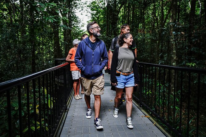 Daintree, Cape Tribulation & River Cruise from Port Douglas - Cape Tribulation brings forest and beach together