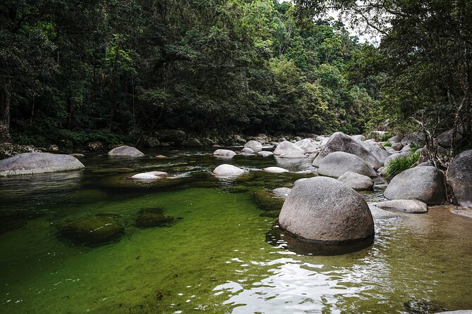 Daintree, Cape Tribulation & River Cruise from Port Douglas - Tropical-fruit ice cream is a pleasant extra