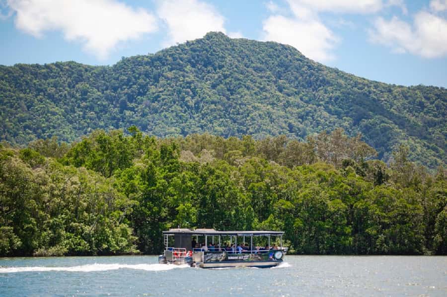 Daintree: Guided Daintree River Wildlife Cruise - Getting value from $28