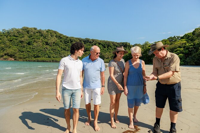 Daintree Rainforest and Cape Tribulation Day Tour from Cairns - Why this Daintree day works for first-time visitors