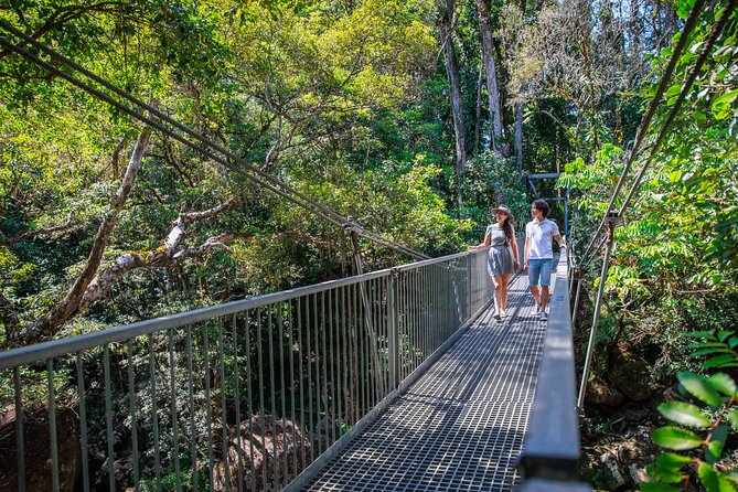 Daintree Rainforest and Cape Tribulation Day Tour from Cairns - Searching for crocodiles on the Daintree River