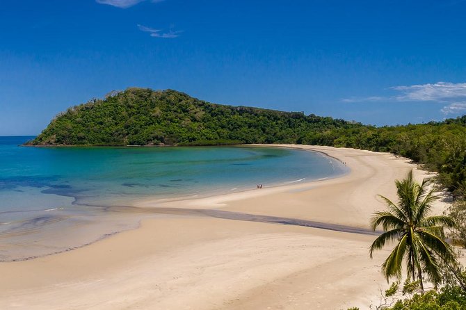 Daintree Rainforest and Cape Tribulation Day Tour from Cairns - A private rainforest lunch with several choices