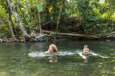 Daintree Rainforest and Cape Tribulation Full Day Tour