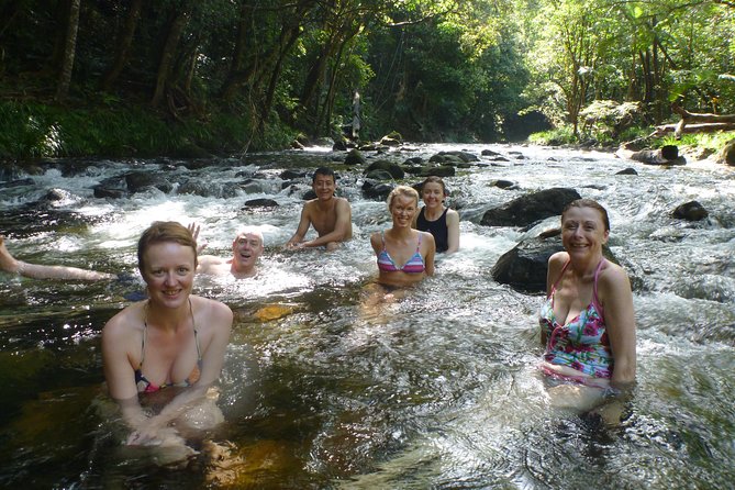 Daintree Rainforest, Mossman Gorge Small-Group from Port Douglas - Why this Port Douglas day trip works so well