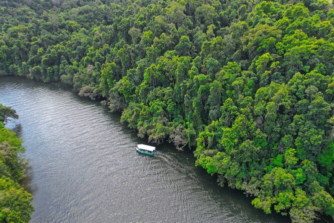 Daintree River Cruise - A quiet hour among crocodiles and rainforest