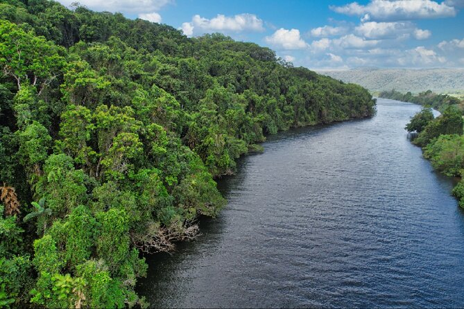 Daintree River Cruise - What the guide adds to the experience