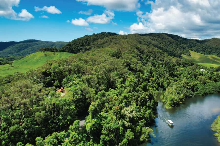 Daintree: River Rainforest Crocodile & Wildlife Cruise (DV) - Why this Daintree cruise is worth your time
