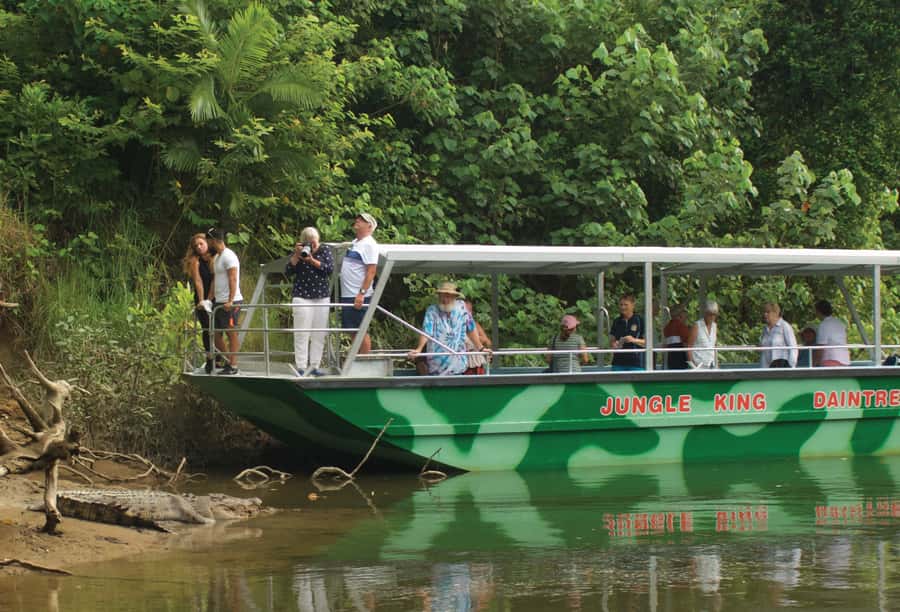Daintree: River Rainforest Crocodile & Wildlife Cruise (DV) - When to go and how to improve your odds