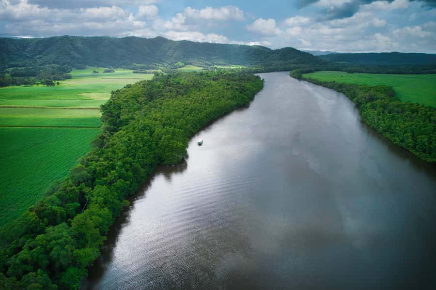 Daintree River Rainforest: Crocodile & Wildlife Cruises (DG) - How the guides help you find wildlife