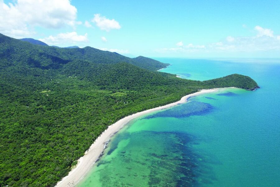Daintree River Rainforest: Crocodile & Wildlife Cruises (DG) - Crocodile sightings and what to expect