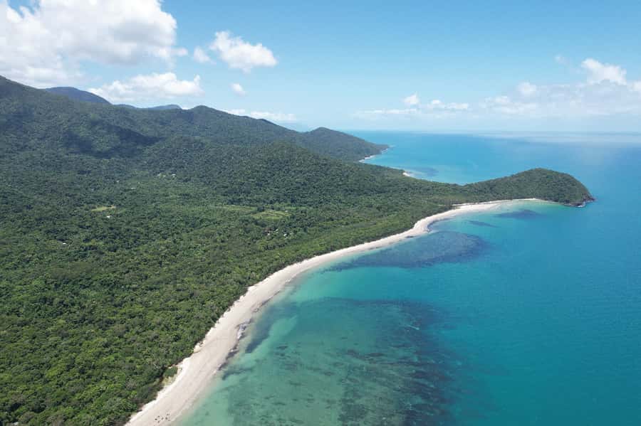 Daintree River Rainforest: Crocodile & Wildlife Cruises (DG) - Why the 30-day pass changes the value