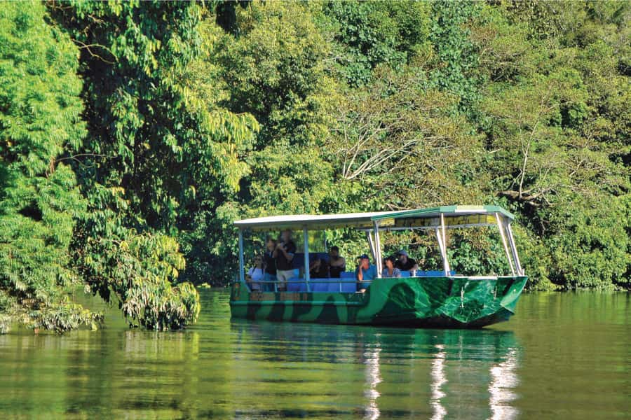 Daintree River Rainforest: Crocodile & Wildlife Cruises (DG) - What the one-hour river route includes