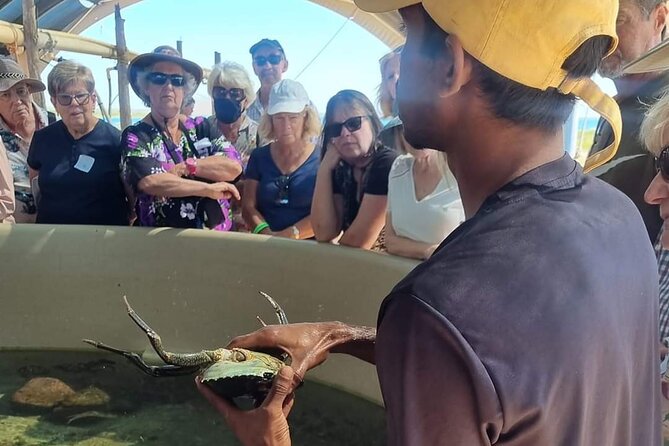 Dampier Peninsula & Aboriginal Communities from Broome (Optional Scenic Flight) - The optional scenic flight from the peninsula