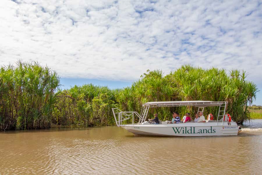 Darwin: Adelaide River Half-Day Jumping Crocs Cruise - Should you book it?