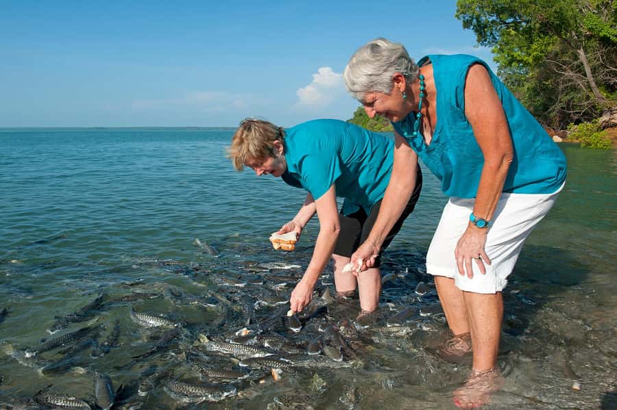 Darwin: Aquascene Fish Feeding Experience - Quick points before you book