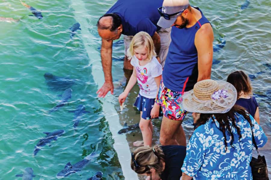Darwin: Aquascene Fish Feeding Experience - Practical tips for a better visit