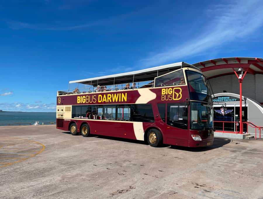 Darwin: Big Bus Open-Top Hop-on Hop-off Tour - The central stops and Crocosaurus Cove