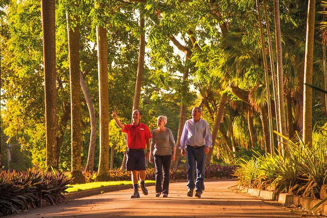 Darwin City Sightseeing Tour - City landmarks, the waterfront, and the military precinct
