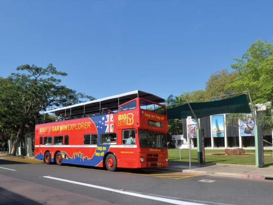 Darwin: Crocosaurus Cove Entry & Hop-on-Hop-Off Bus Tour - The open-top bus gives Darwin a wider frame