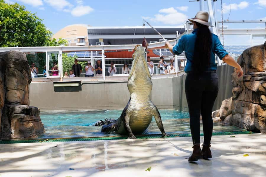 Darwin: Crocosaurus Cove Entry & Hop-on-Hop-Off Bus Tour - A practical one-day plan