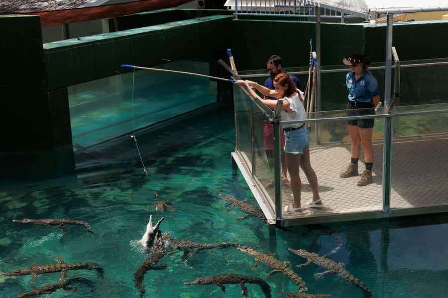 Darwin: Crocosaurus Cove Entry & Hop-on-Hop-Off Bus Tour - FAQ