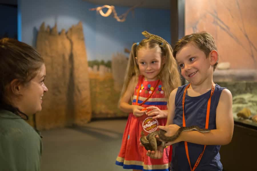 Darwin: Hop-On Hop-Off Bus, Crocosaurus Cove and RFDS Entry - The bus loop: best for getting your bearings