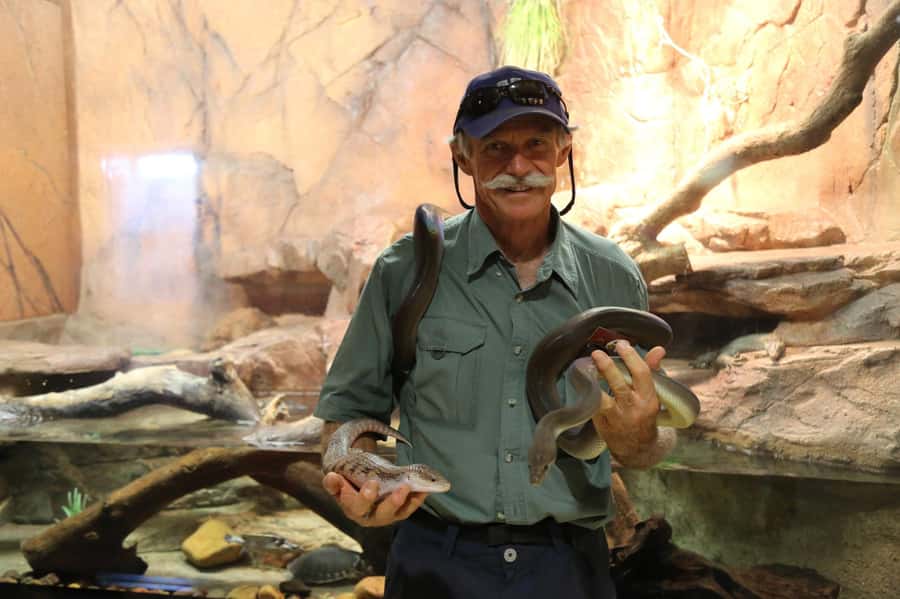 Darwin: Hop-On Hop-Off Bus, Crocosaurus Cove and RFDS Entry - Crocosaurus Cove: Darwins reptile-heavy main attraction