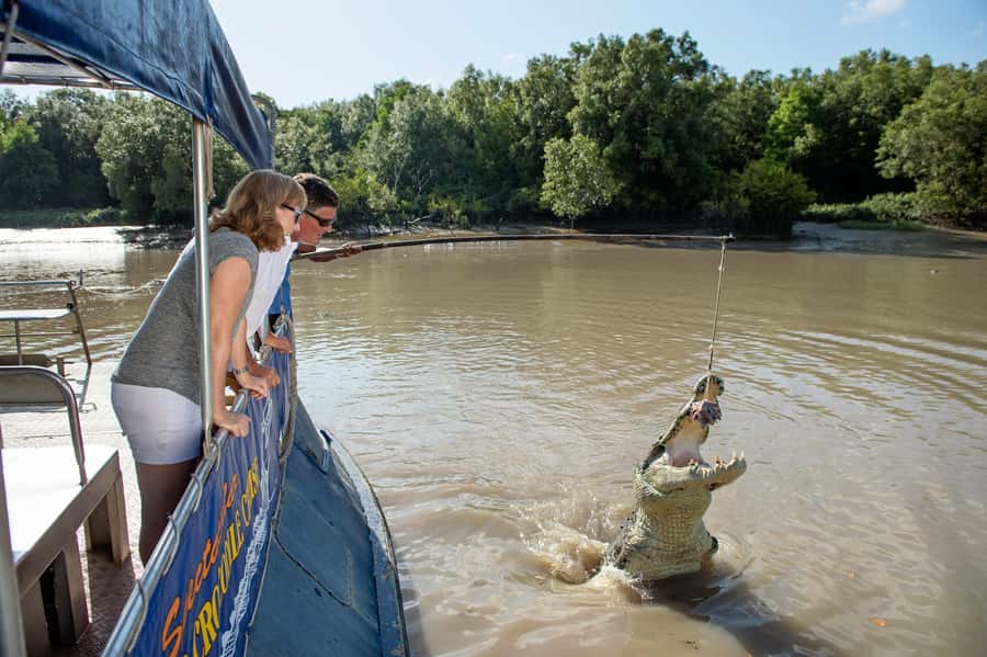 Darwin: Jumping Crocodile Cruise - Guides who make the difference
