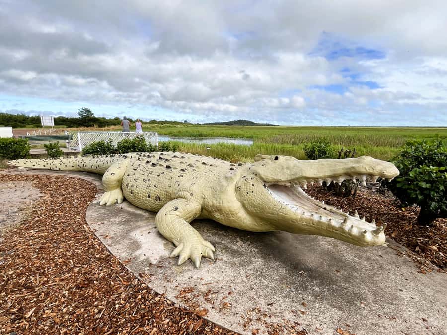 Darwin: Jumping Crocodile Cruise - Who should book this cruise?