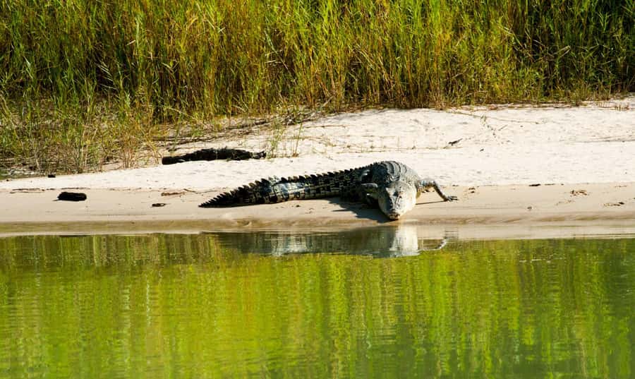 Darwin: Jumping Crocodile Cruise - Booking, weather, and practical details