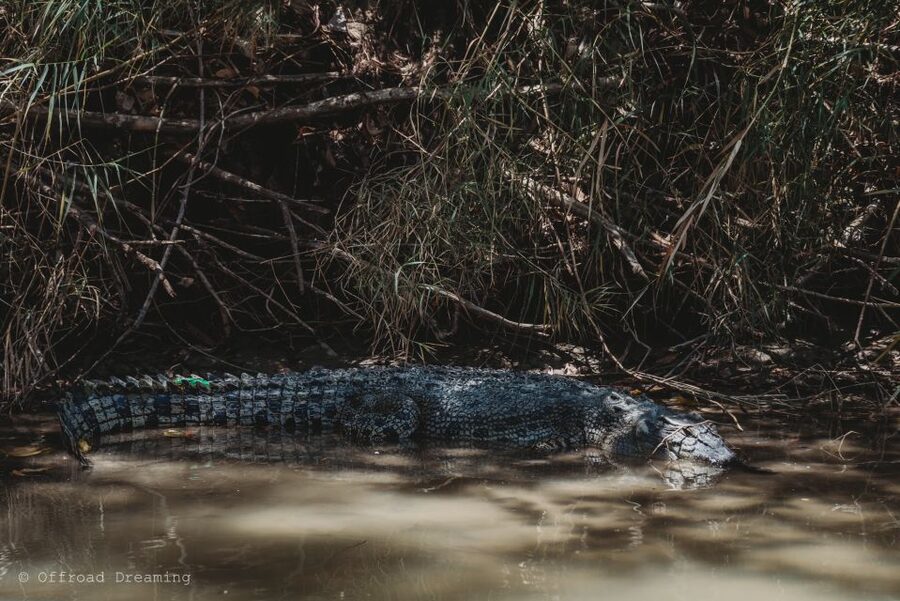 Darwin: Kakadu National Park Day Tour with Lunch - Wet-season changes from October to March