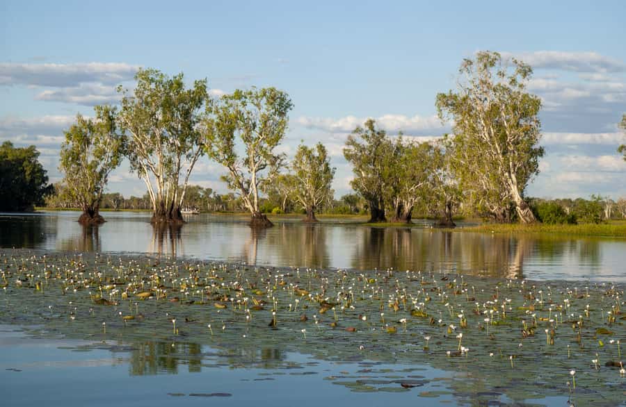 Darwin: Kakadu National Park Day Trip - Key points at a glance