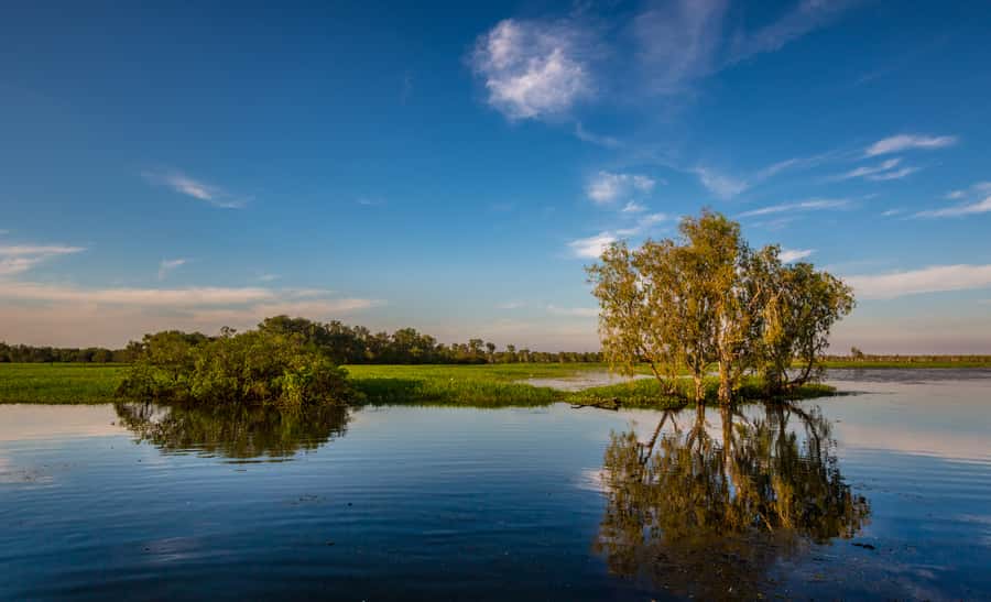 Darwin: Kakadu National Park Day Trip - Who will enjoy this most