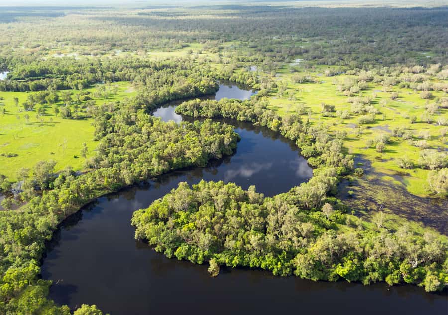 Darwin: Kakadu National Park Day Trip - Lunch at Barra Bar and Bistro