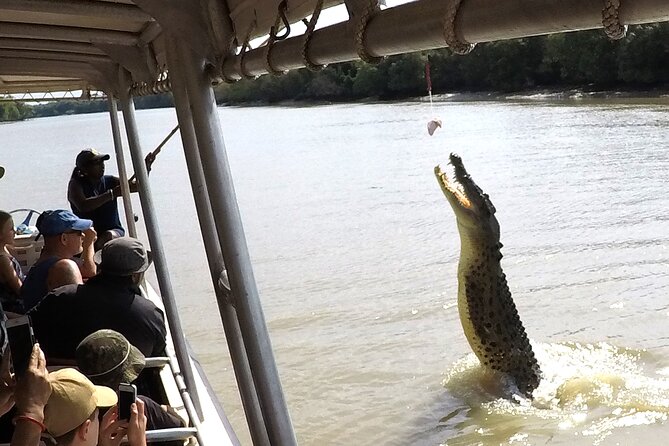 Darwin: Pathfinder Original Jumping Crocodile Cruise - Meeting saltwater crocodiles on the Adelaide River