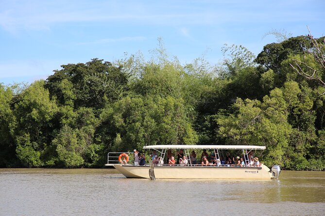 Darwin: Pathfinder Original Jumping Crocodile Cruise - Who should book this crocodile cruise?