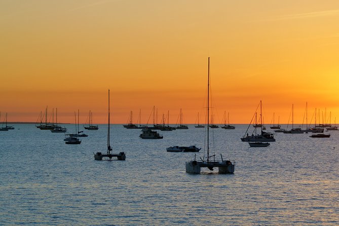 Darwin Shore Excursion: Hop-on Hop-off Bus Tour - How to plan one day from a cruise ship