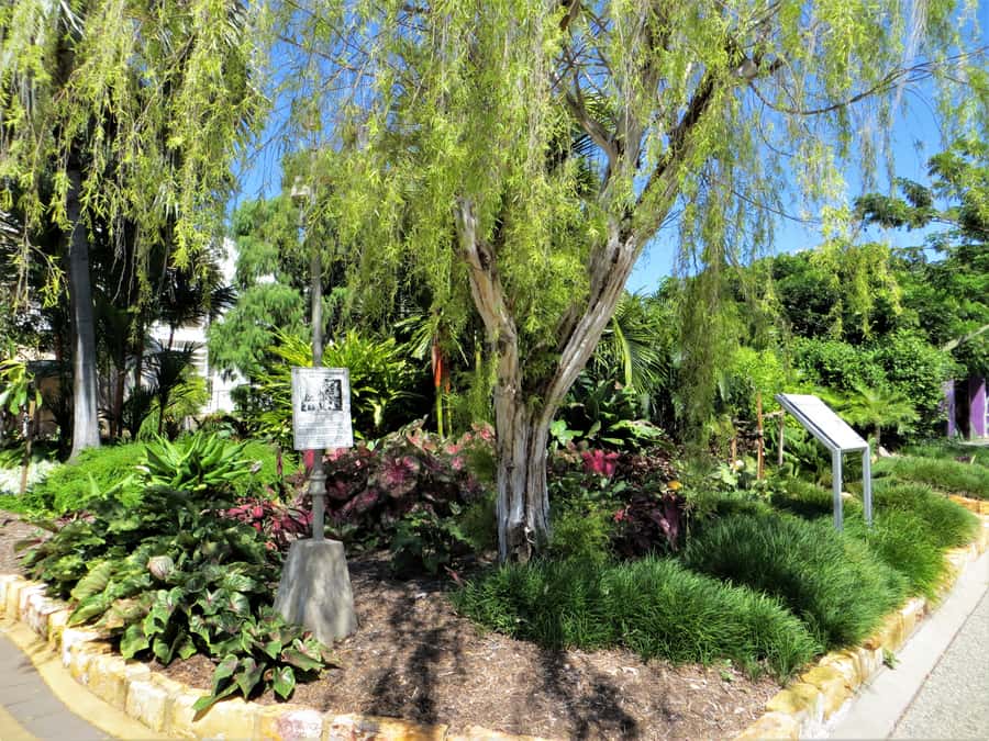 Darwin: Small Group 2-Hour Heritage Walk - Why Darwin makes sense on foot