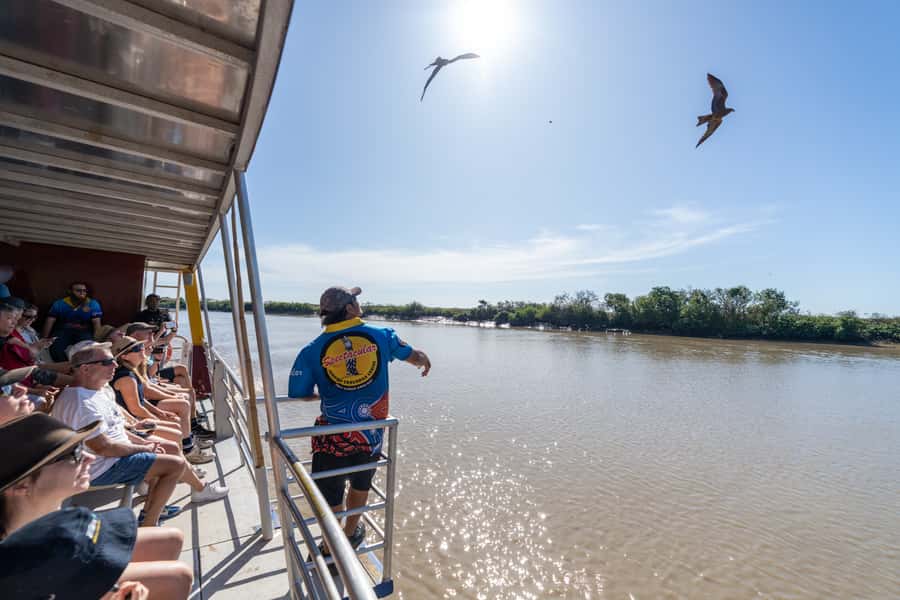 Darwin: Spectacular Jumping Crocodile Adelaide River Cruise - Should you book the Adelaide River cruise?