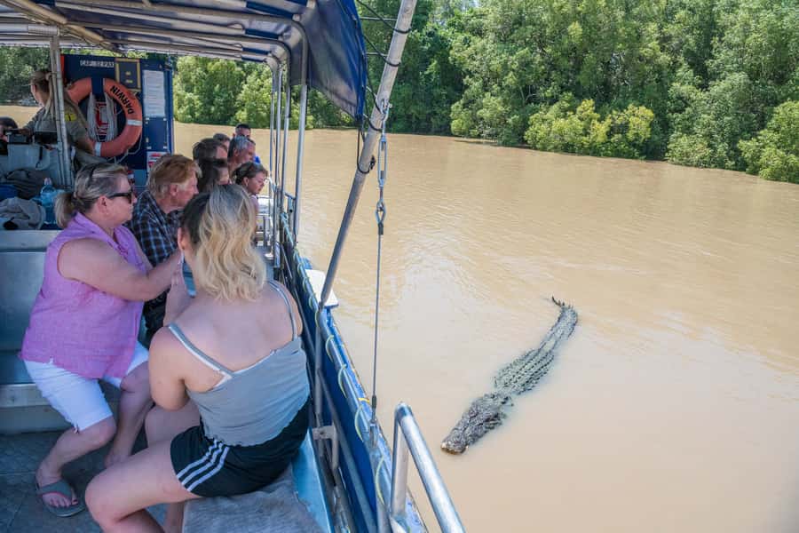 Darwin: Spectacular Jumping Crocodile Adelaide River Cruise - Why the crocodiles jump