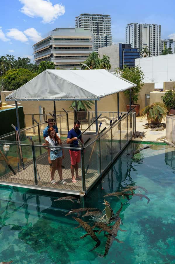 Darwin: VIP Crocosaurus Cove Experience - Small groups and the guide-led approach